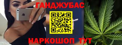 крисы Новокубанск