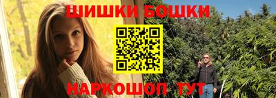 крисы Новокубанск