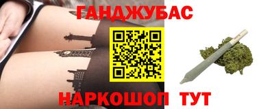 крисы Новокубанск