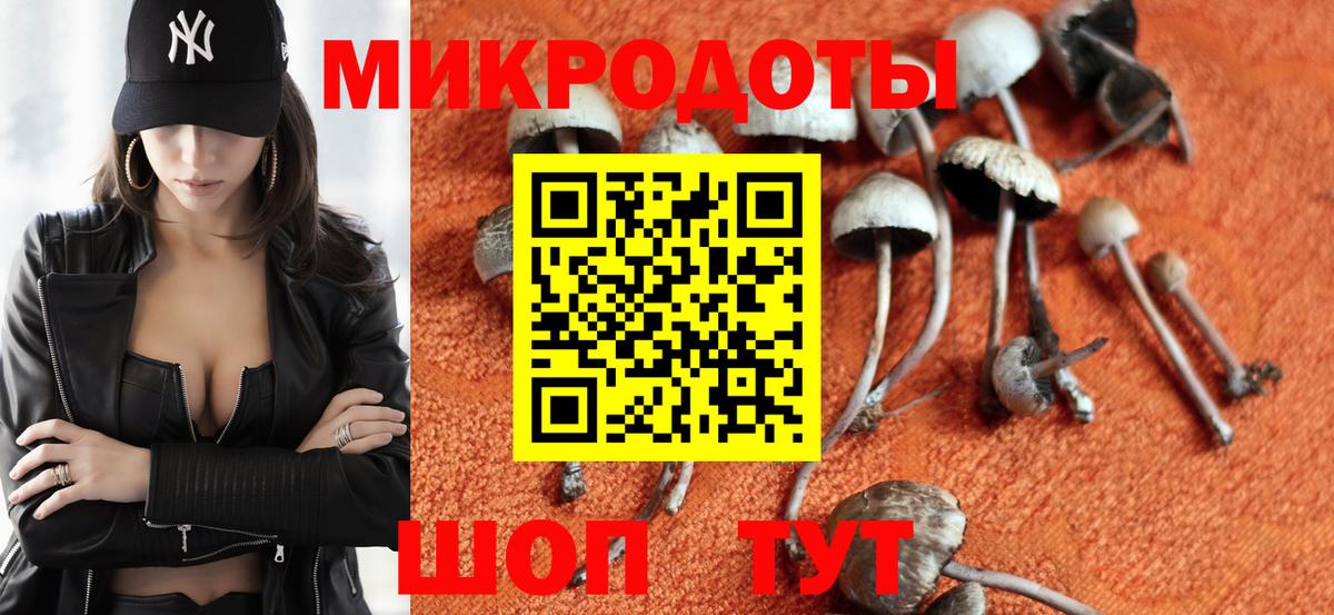 Галлюциногенные грибы ЛСД Рубцовск