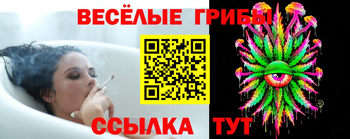 Псилоцибиновые грибы Psilocybe  Вход с VPN  Рубцовск 